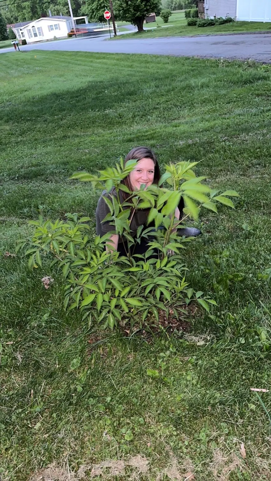 Alyssa Adams smiling behind a young organic elderberry shrub she planted at The Sanctuberry in Latrobe, Pennsylvania